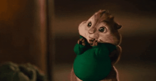 chipmunk-animals-free-animated-gifs-gameznet 023.gif